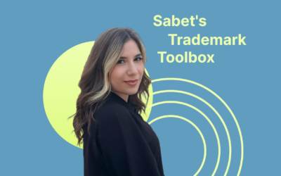 Explore Sabet’s Toolbox: your guide to mastering TMZOOM!