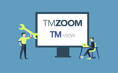 TMZOOM vs. TMview: Which tool is right for you?